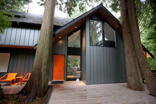 Metal siding on the tall tree home
